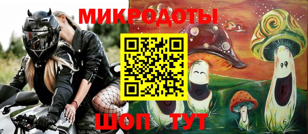 Галлюциногенные грибы Psilocybe  Вход с VPN  Сердобск  Псилоцибиновые грибы прущие грибы 